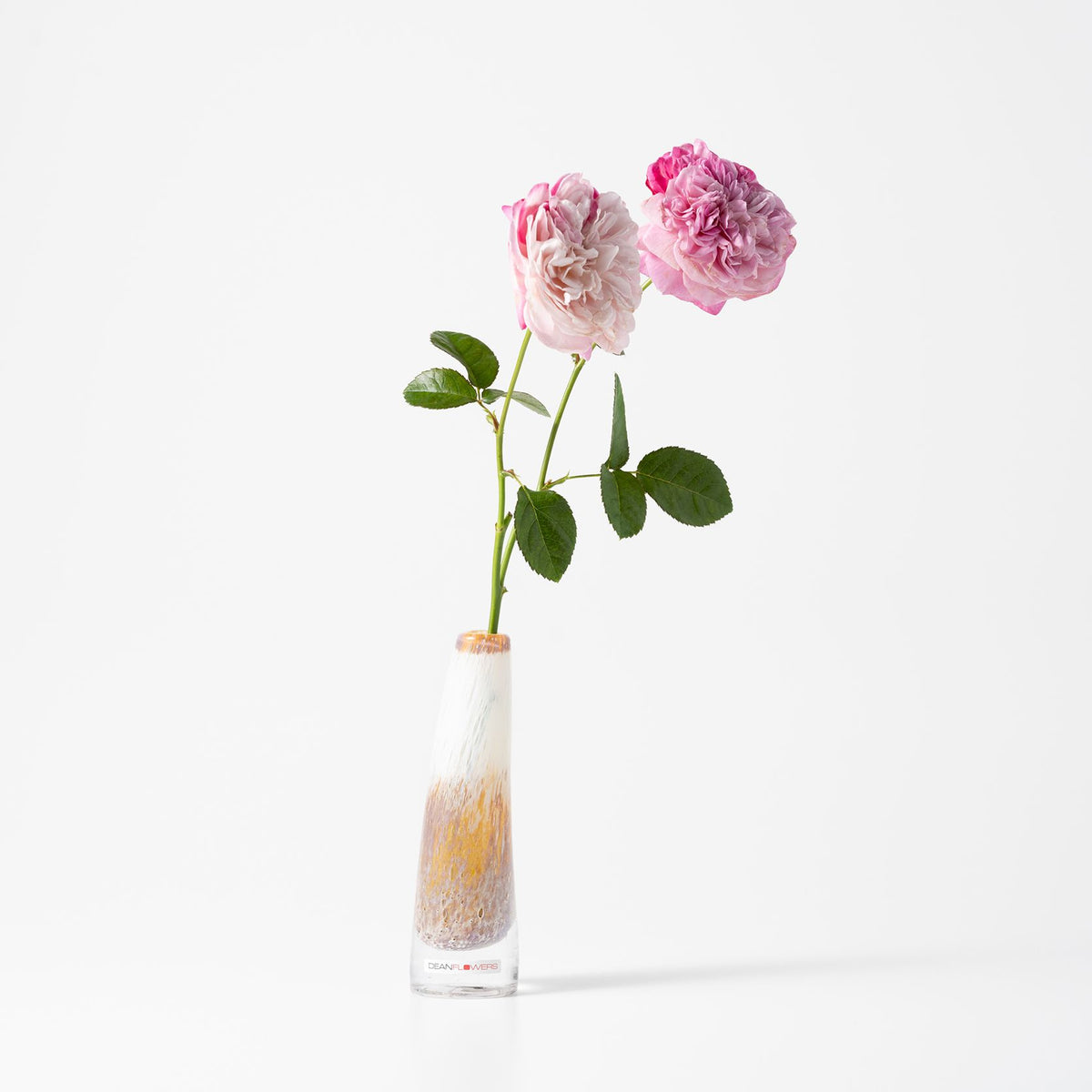 Grass S コルゾ – Henry Dean_japan Grass S コルゾ – Henry Dean_japan