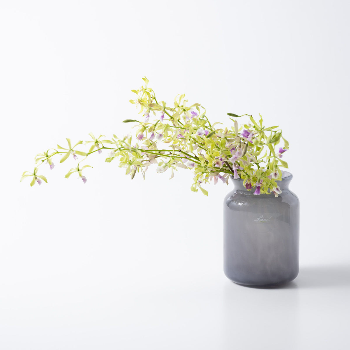 Bern | tistou-officialsite