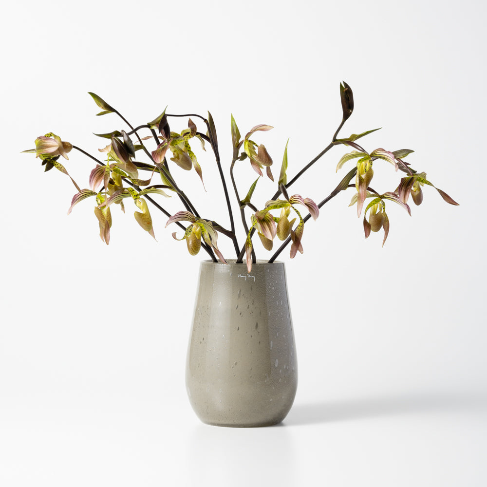 Henry Dean V.Stromboli S グラヴィエ Stromboli S グラヴィエ