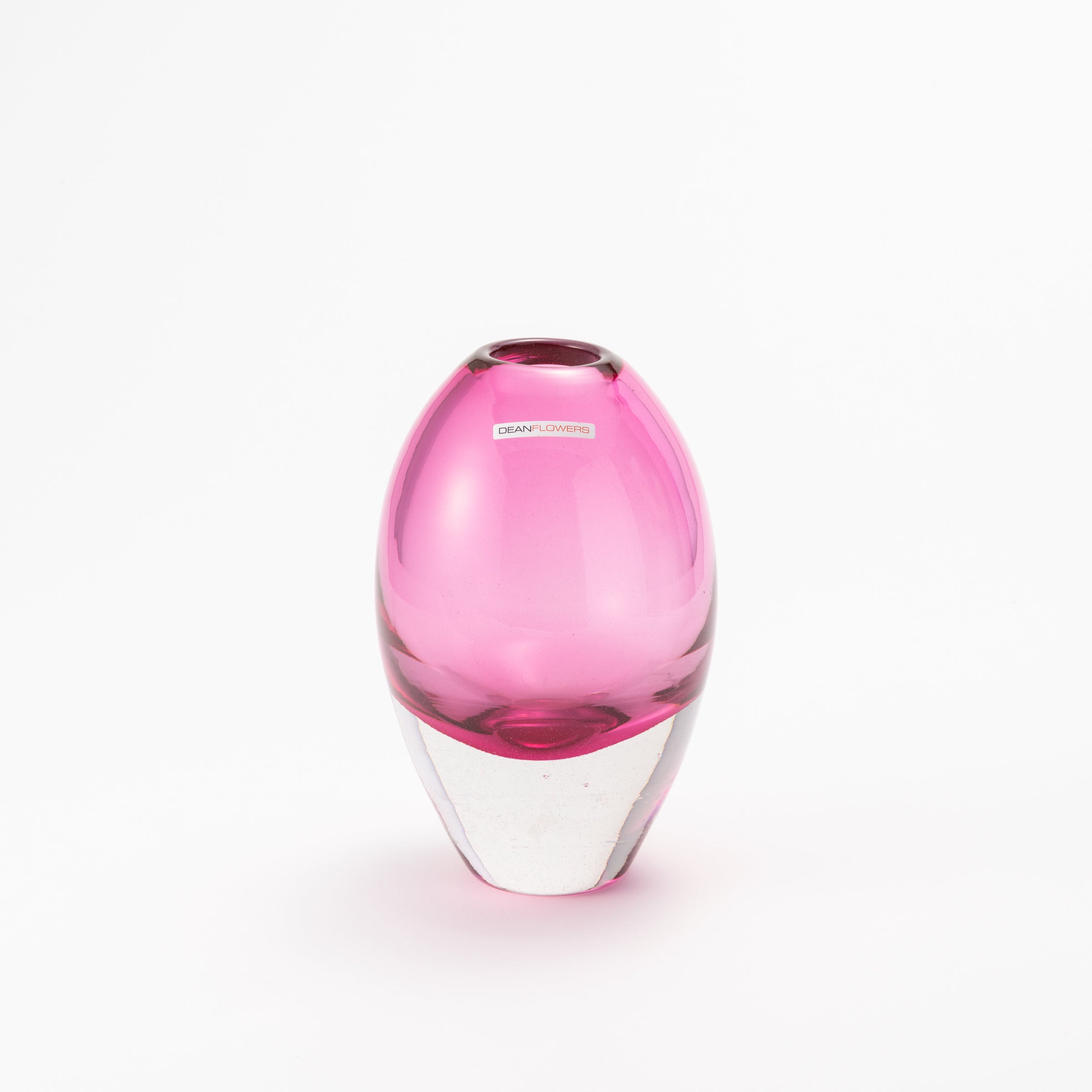 Jerzy L Fuchsia