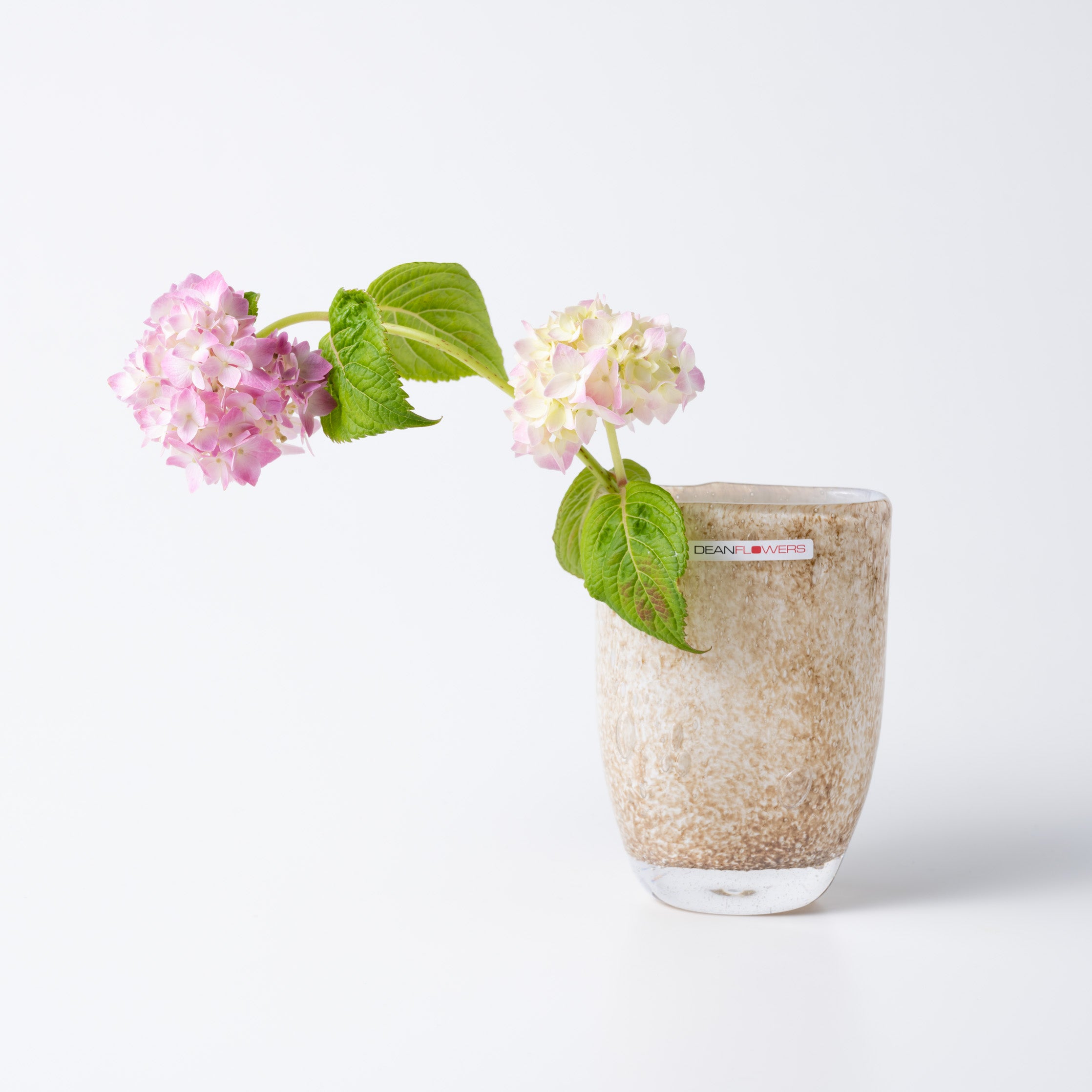 Julien XS リンクス