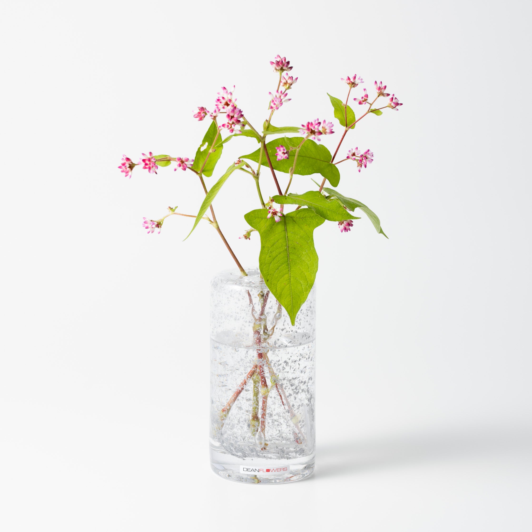 Fumiko without foot シルバー