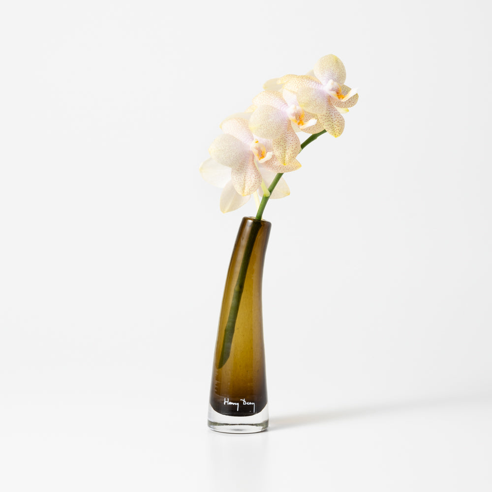 Grass S オリーブ Grass S オリーブ