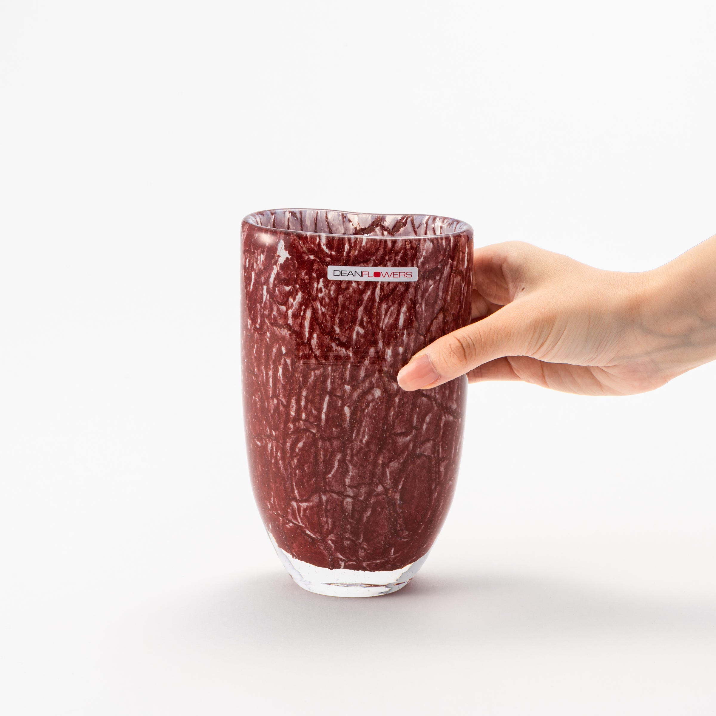 Joe キュプライト