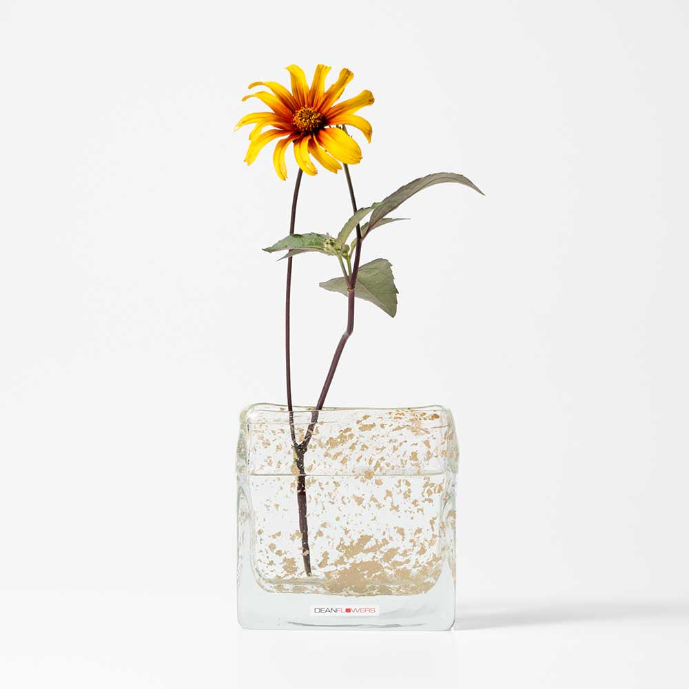 Square XS ビジュー