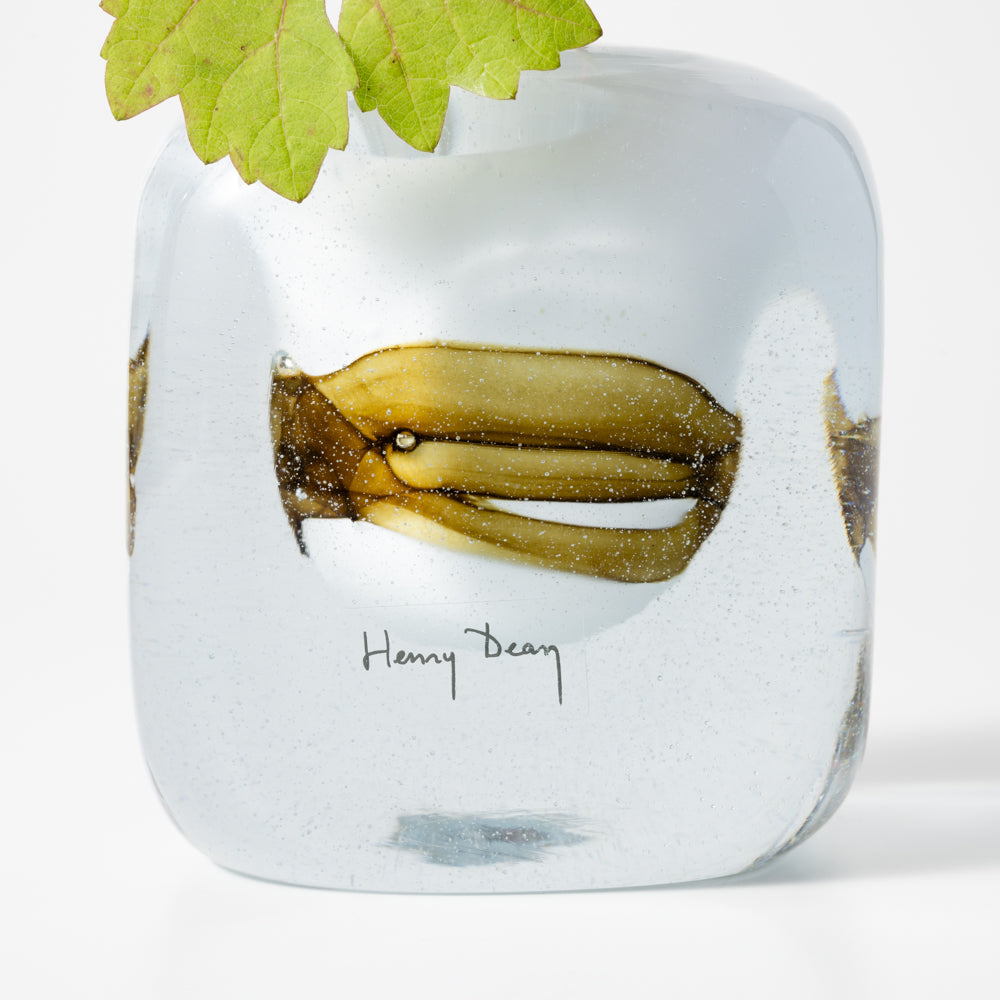 bushdebrunt レンコン オリーブ bushdebrunt レンコン オリーブ OD