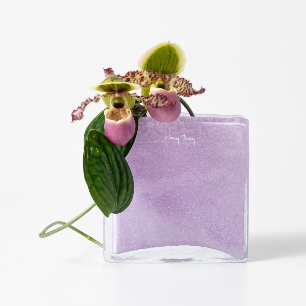 Henry Dean Square XS クロッカス　美品 Square XS クロッカス