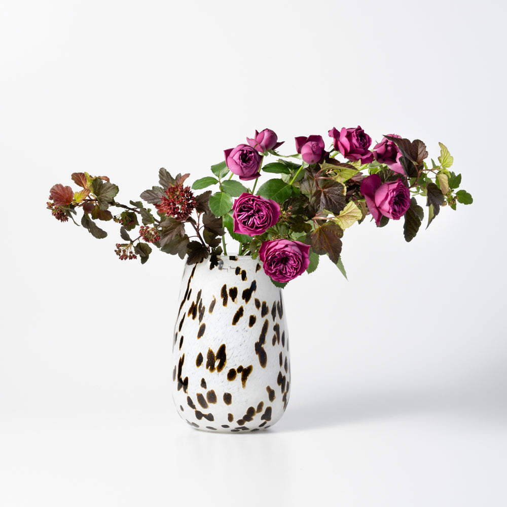 Stromboli S アパルーサ