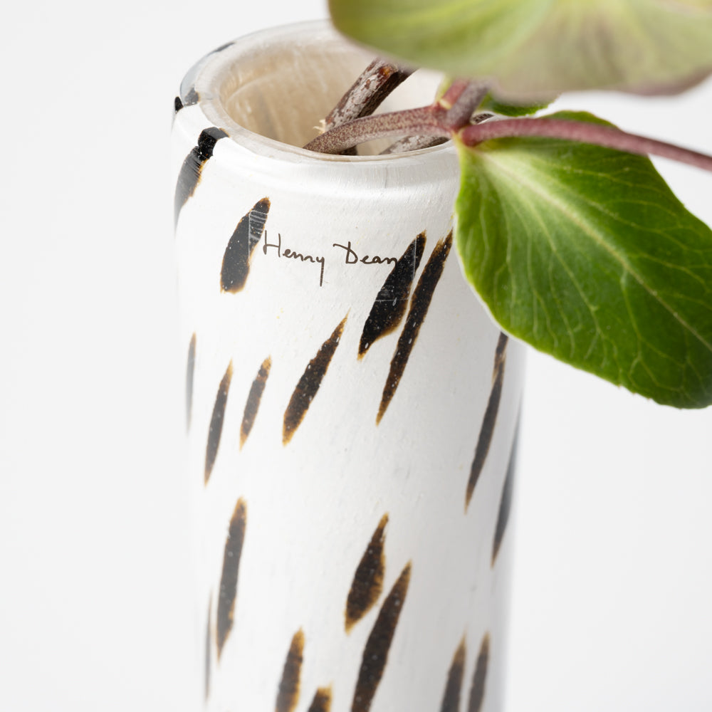 Pipe M アパルーサ