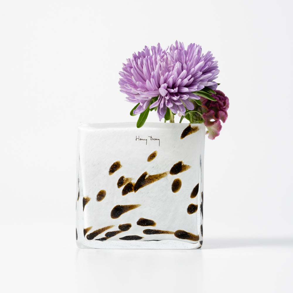 Square XS アパルーサ