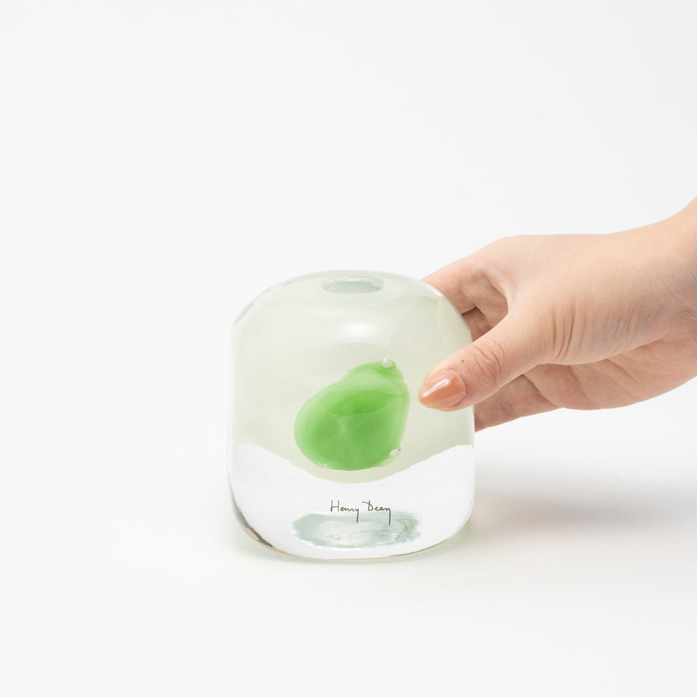 Cube グリーンステイン