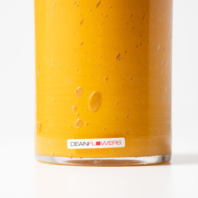 Cylinder10x13 マスタード