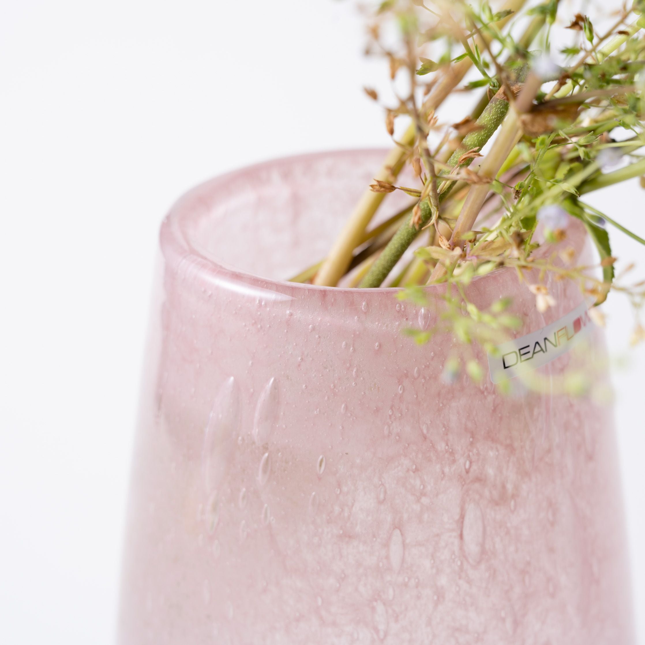 Stromboli XS ブロッサム