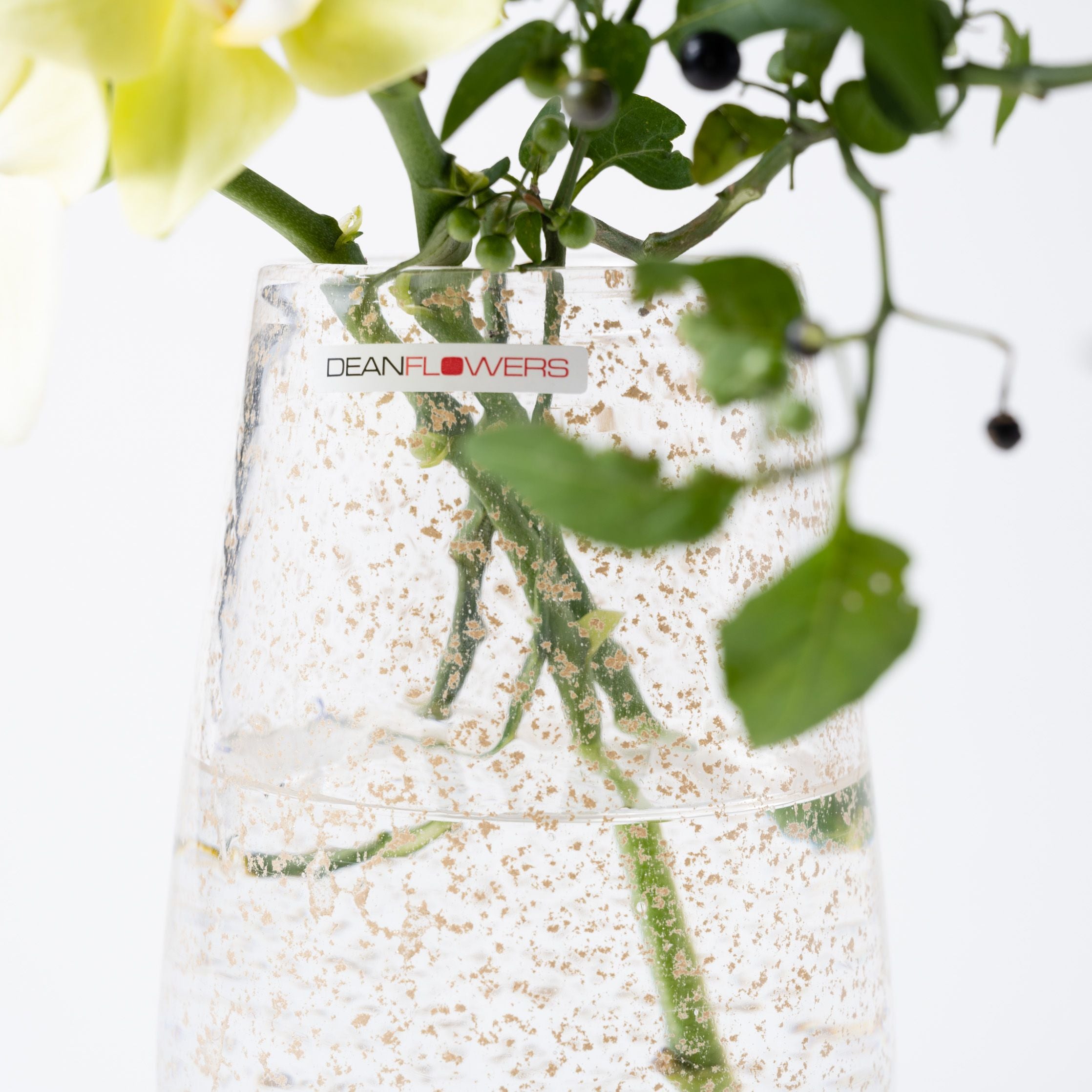 Stromboli XS ビジュー