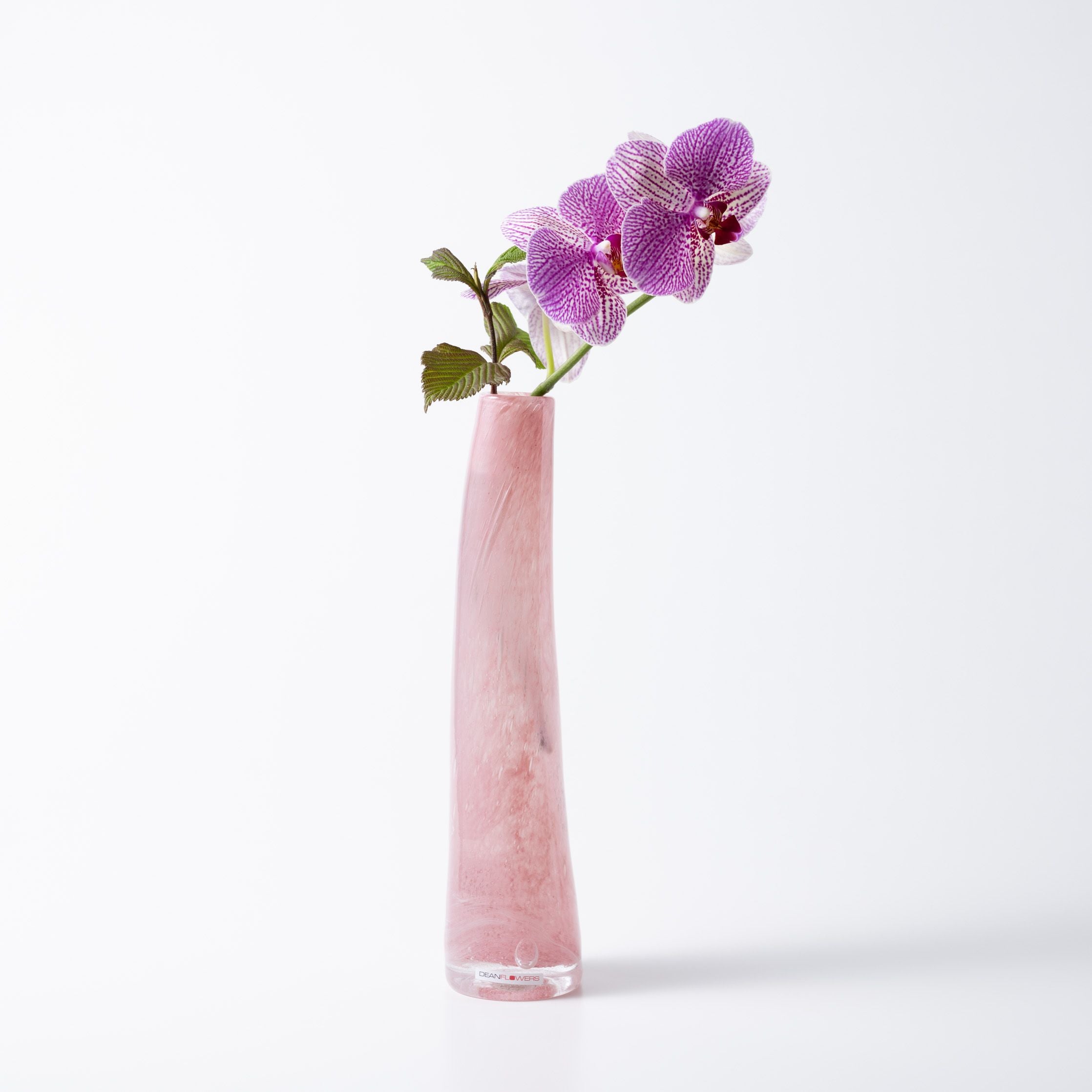 Henry Dean Grass L チコリー HenryDean ヘンリーディーン グラスL フェンプーチ ガラス花瓶