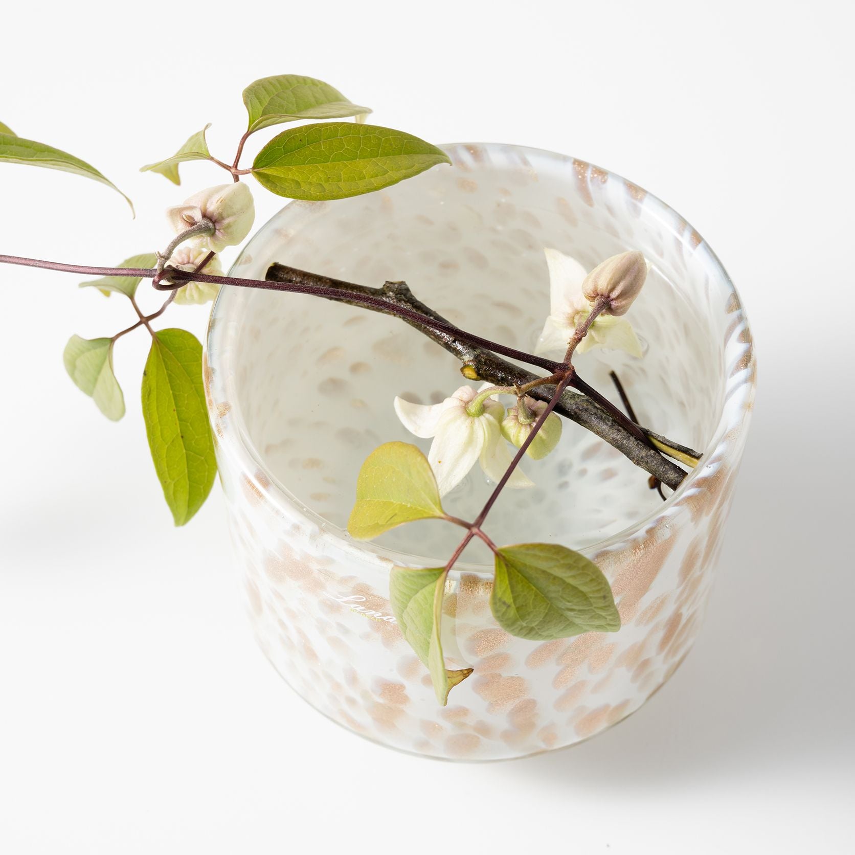 【期間限定お値引き☆】Henry Dean 「Akiko L」☆未使用品 collex｜【Henry Dean/ヘンリー・ディーン】Akiko L | Rakuten