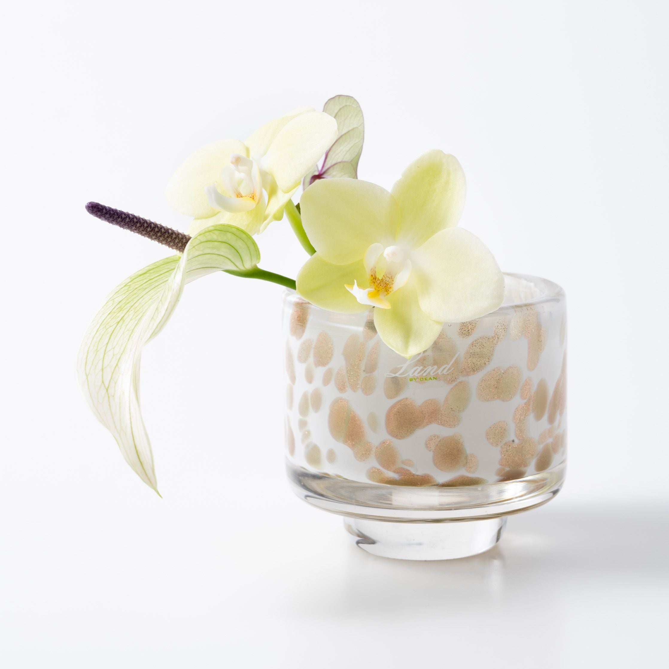 Akiko S ペルリーノ