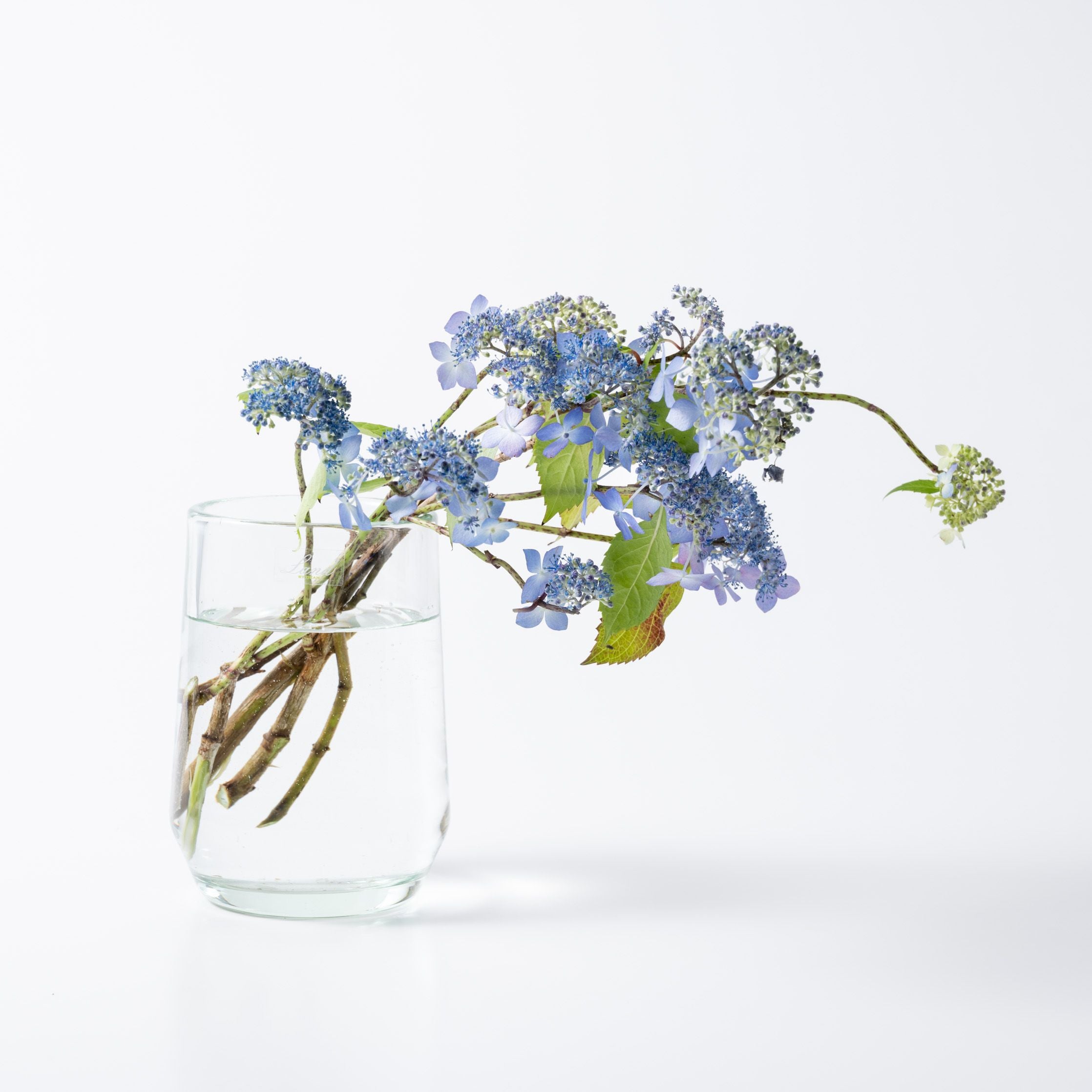 ヘンリーディーン 花瓶 中古 Clemence high S クリア H.Clemence クリア