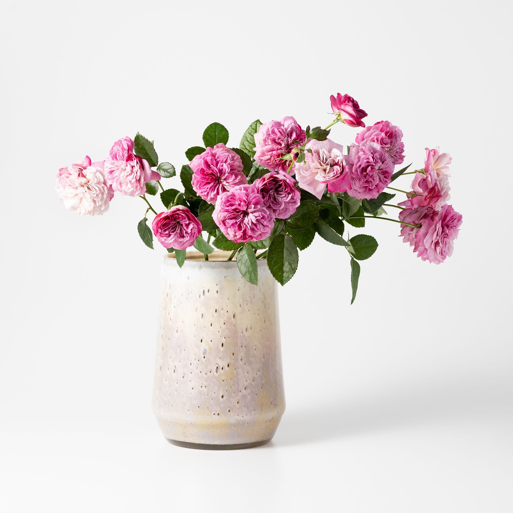 Clemence high S コルゾ