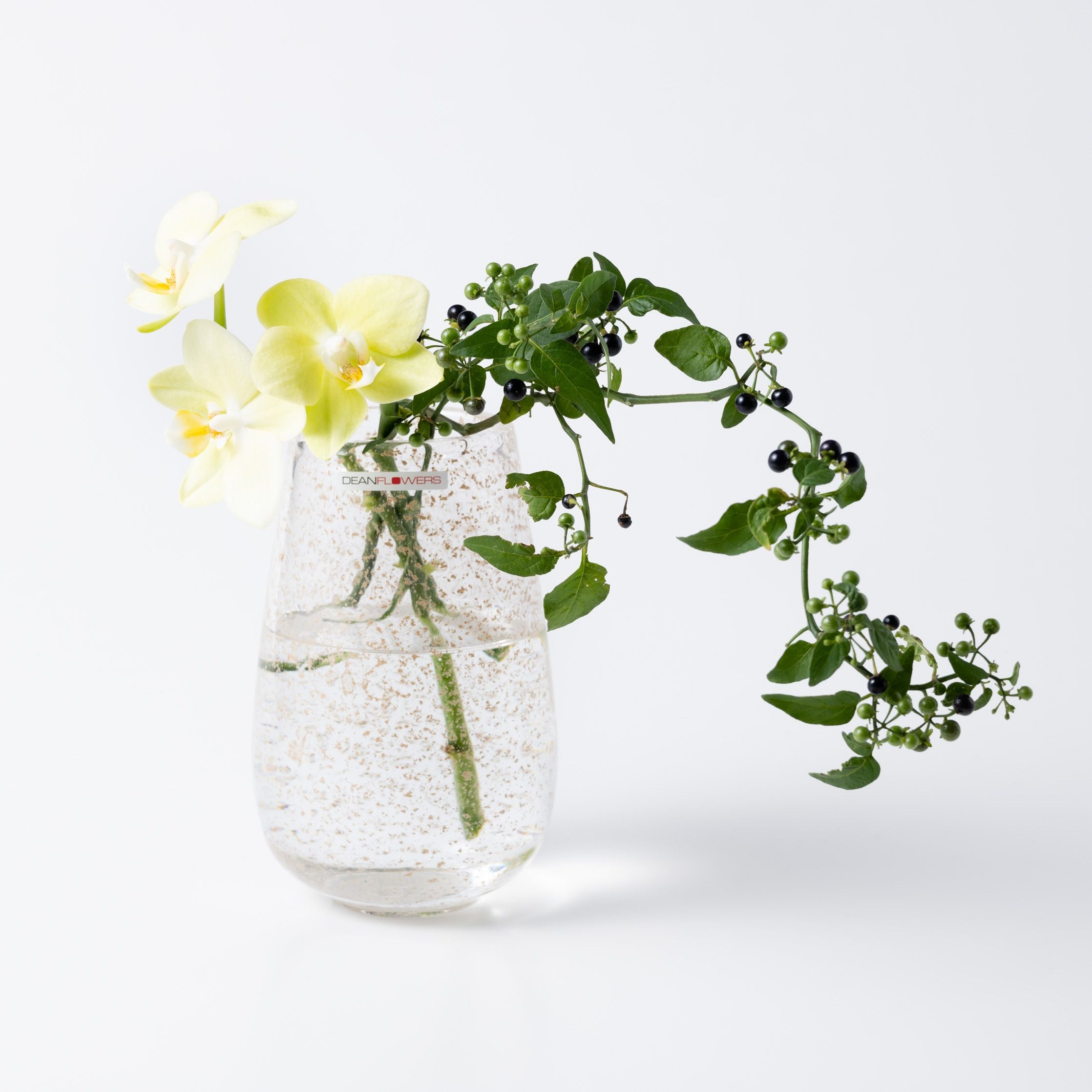 Stromboli XS ビジュー