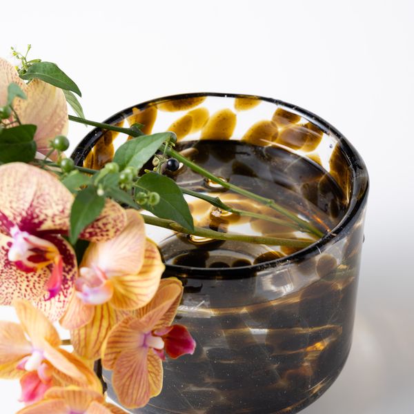 Akiko L ピーニャ