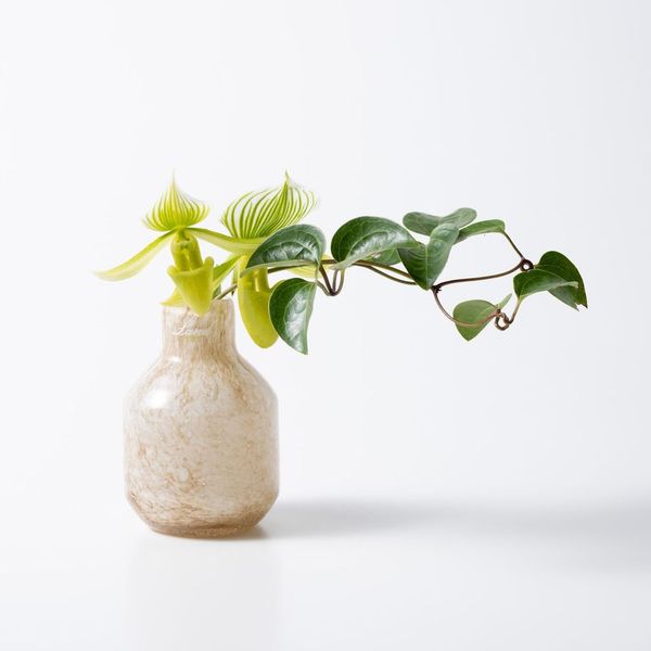 Barbat XS リンクス