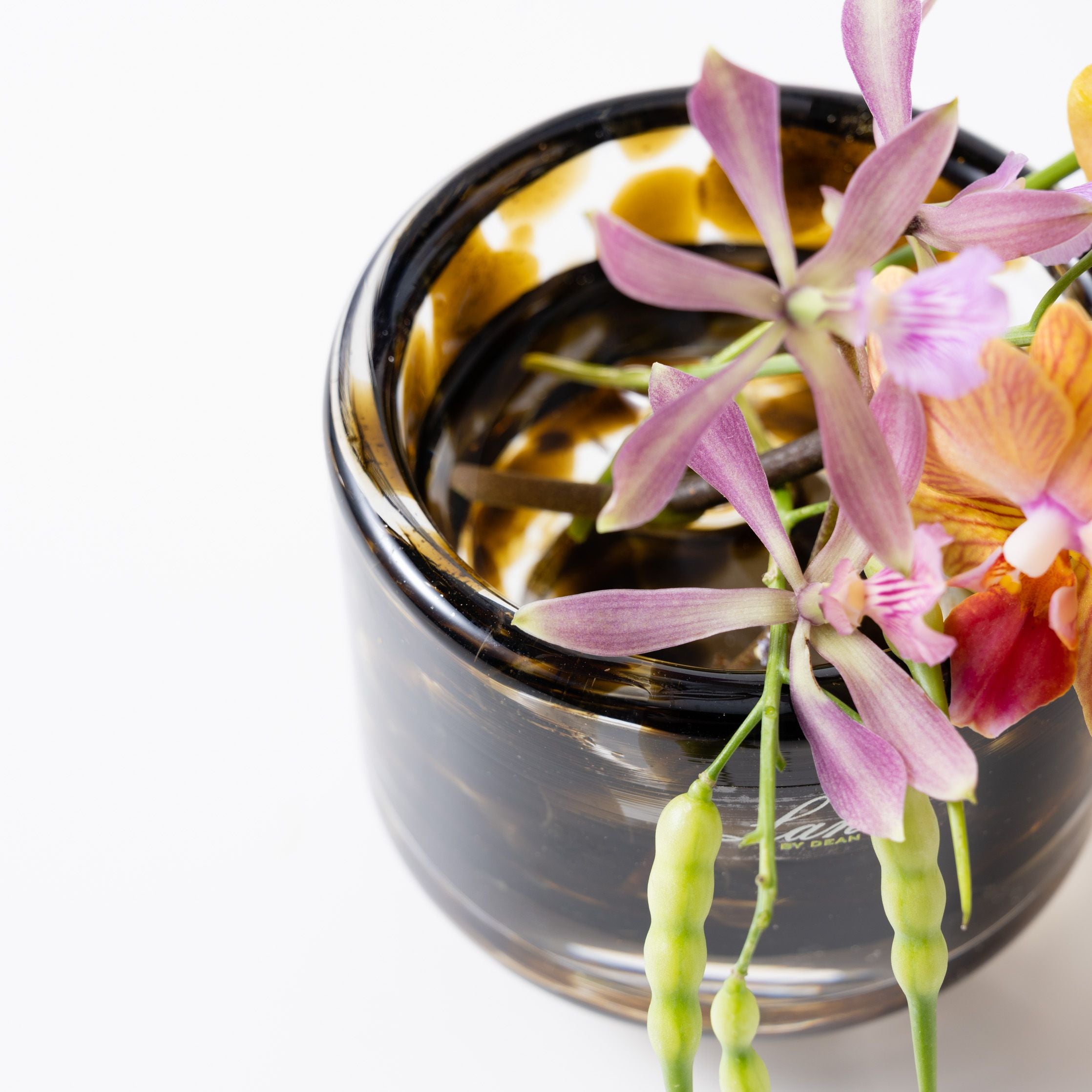 Akiko S ピーニャ