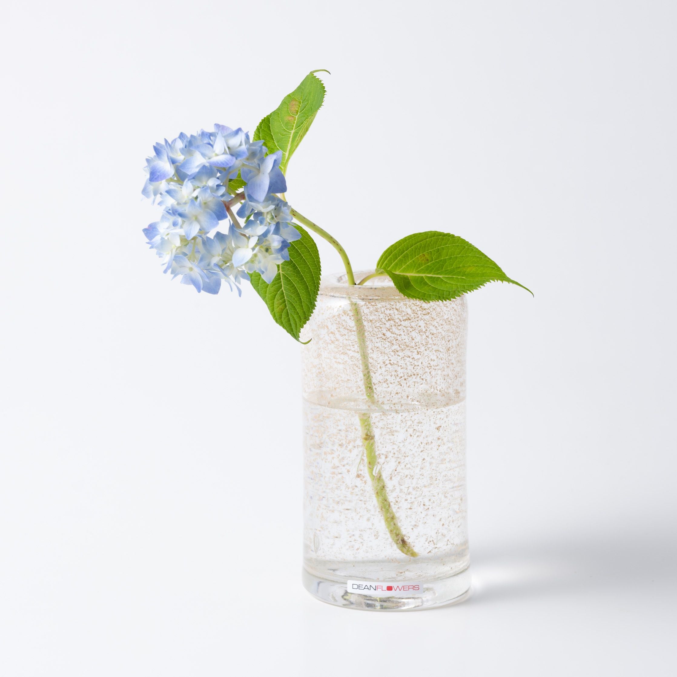 Fumiko without foot bijou