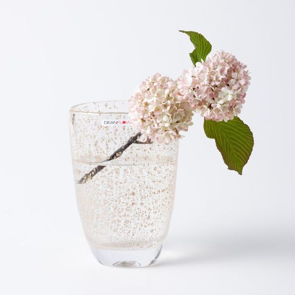 ヘンリーディーン　henrydean julien XS 花瓶　花器 Julien XS ビジュー
