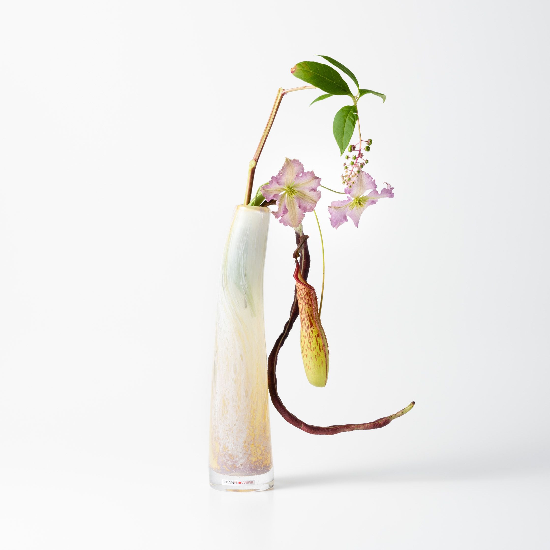 ヘンリーディーン　Grass L Dean flowers Grass L コルゾ